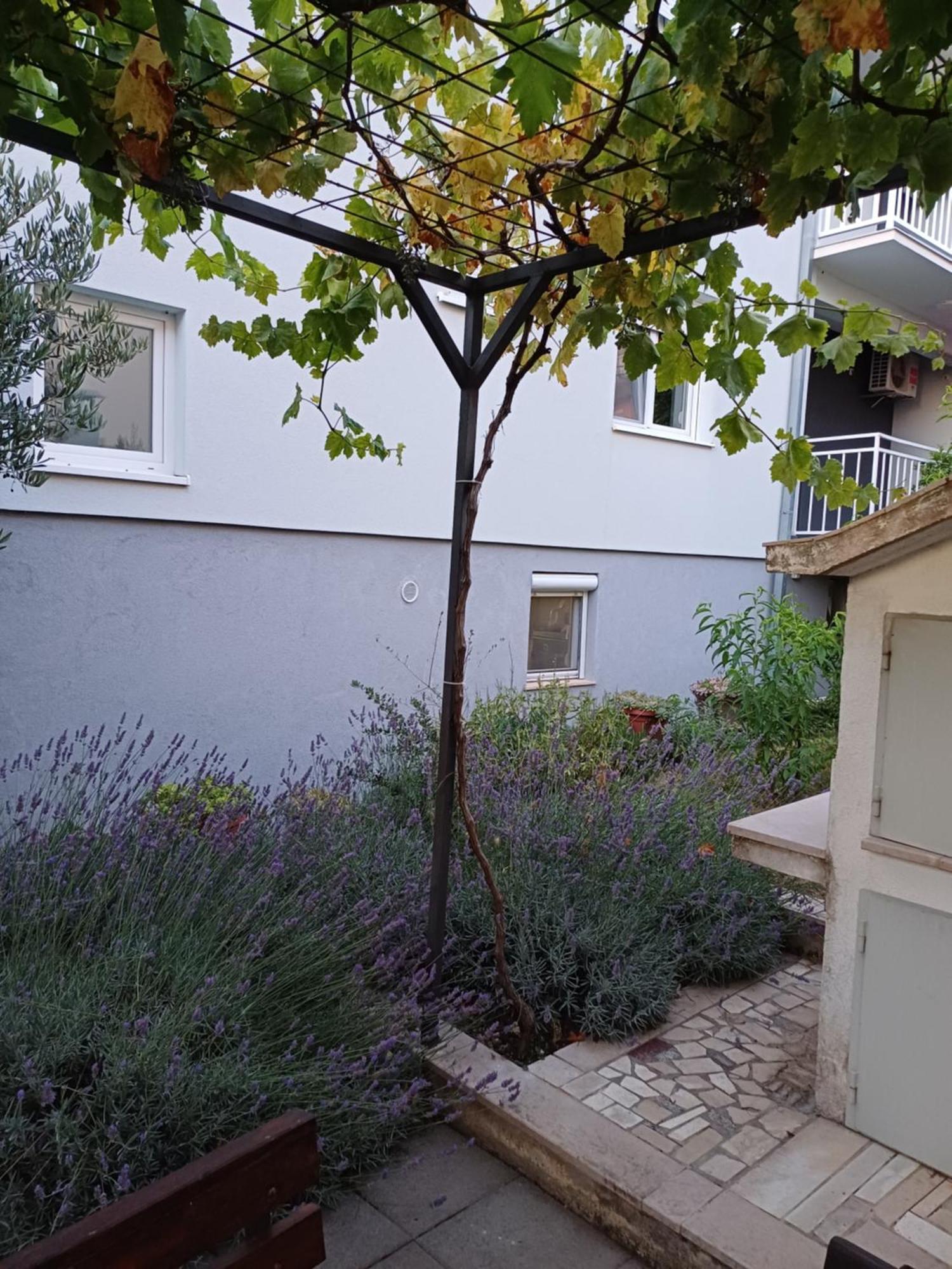 Apartment Sano Ποντστράνα Δωμάτιο φωτογραφία